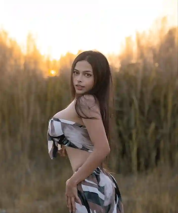 Escorts in Manali